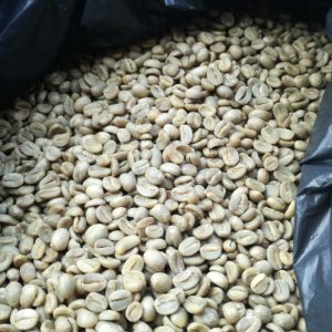 Café Americano verde